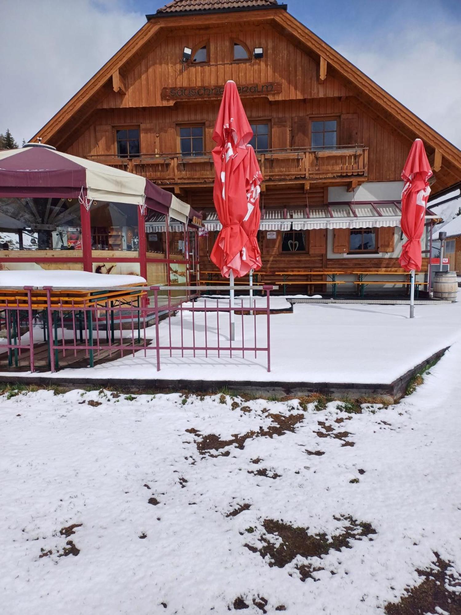Sauschneideralm Hotel Faningberg Exterior photo